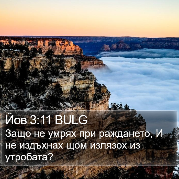 Йов 3:11 BULG Bible Study