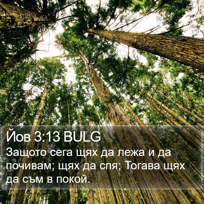 Йов 3:13 BULG Bible Study