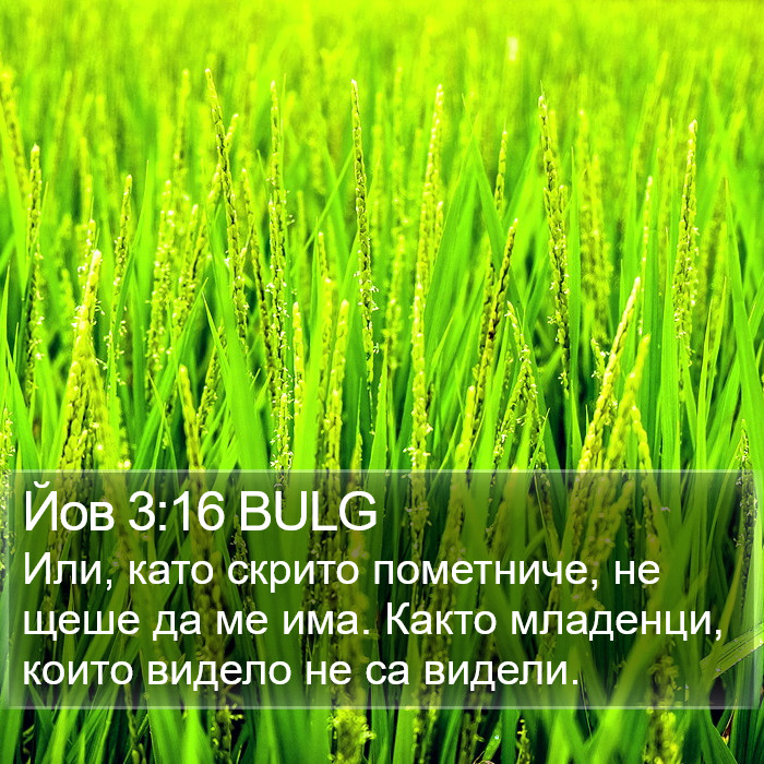 Йов 3:16 BULG Bible Study