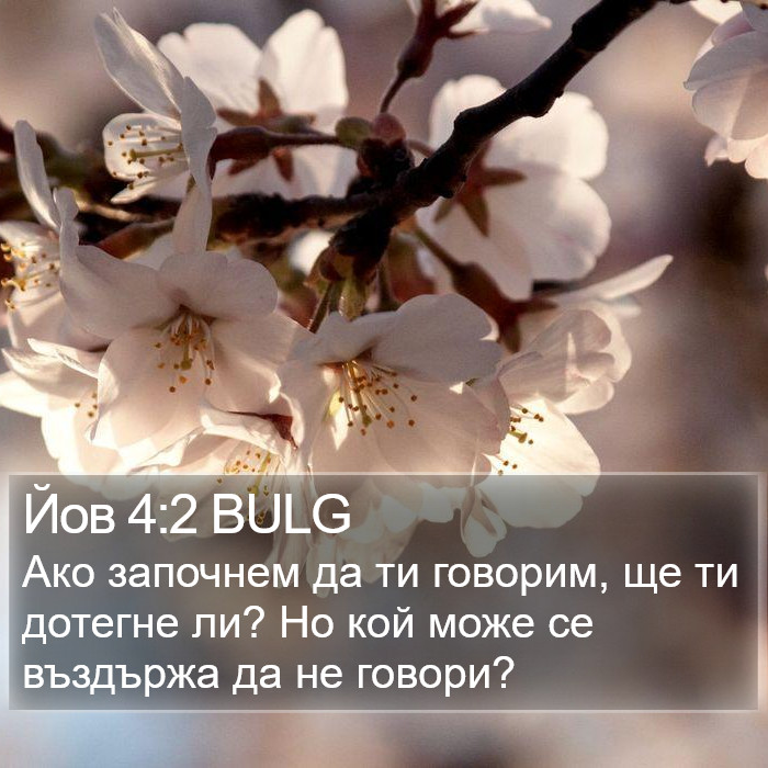 Йов 4:2 BULG Bible Study