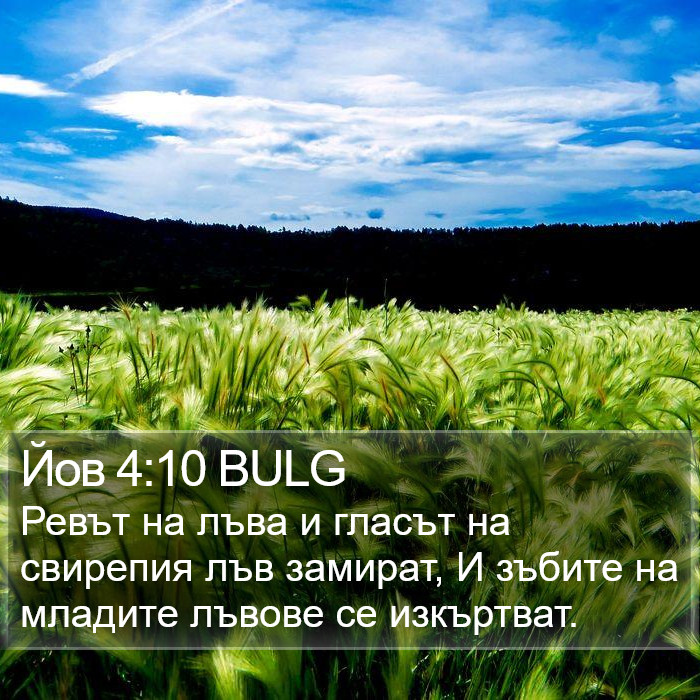 Йов 4:10 BULG Bible Study