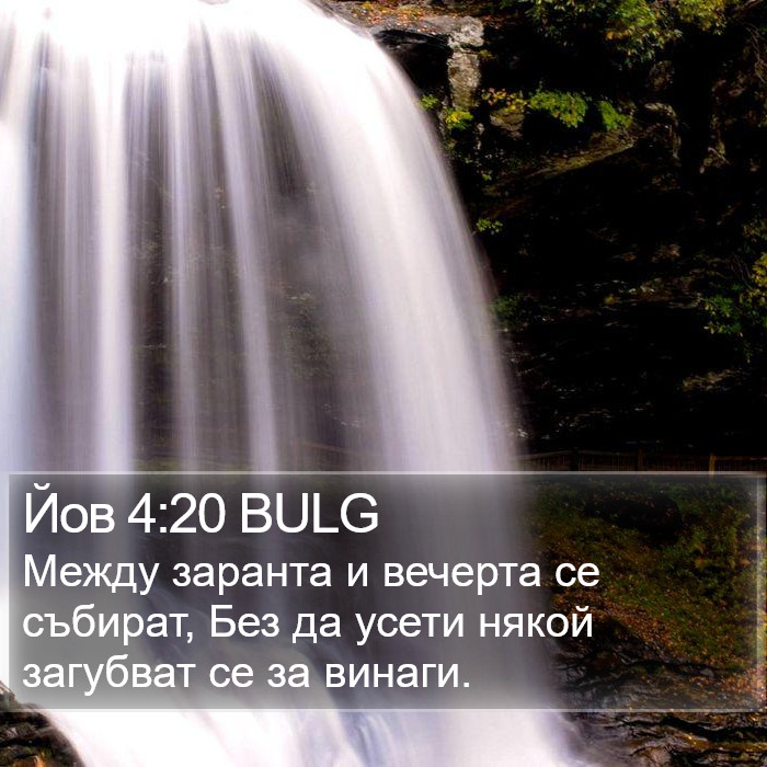 Йов 4:20 BULG Bible Study