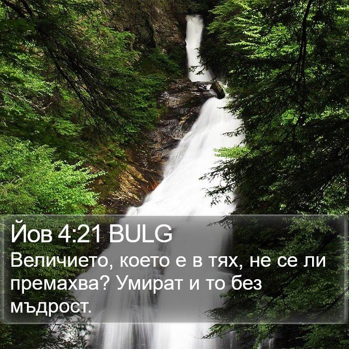 Йов 4:21 BULG Bible Study