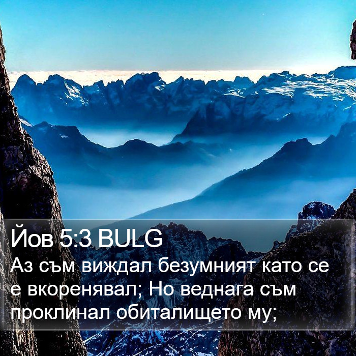 Йов 5:3 BULG Bible Study