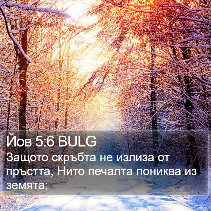 Йов 5:6 BULG Bible Study