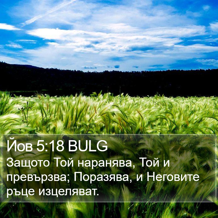 Йов 5:18 BULG Bible Study