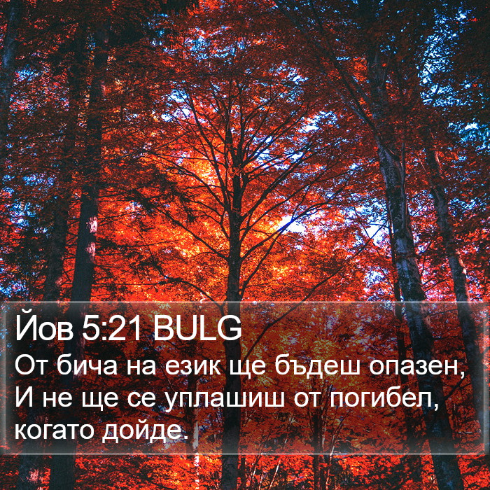 Йов 5:21 BULG Bible Study