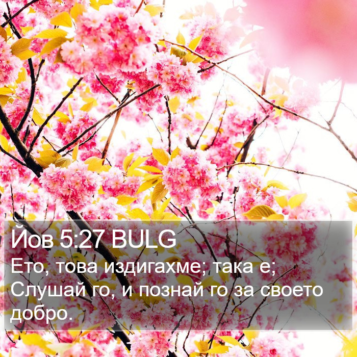 Йов 5:27 BULG Bible Study