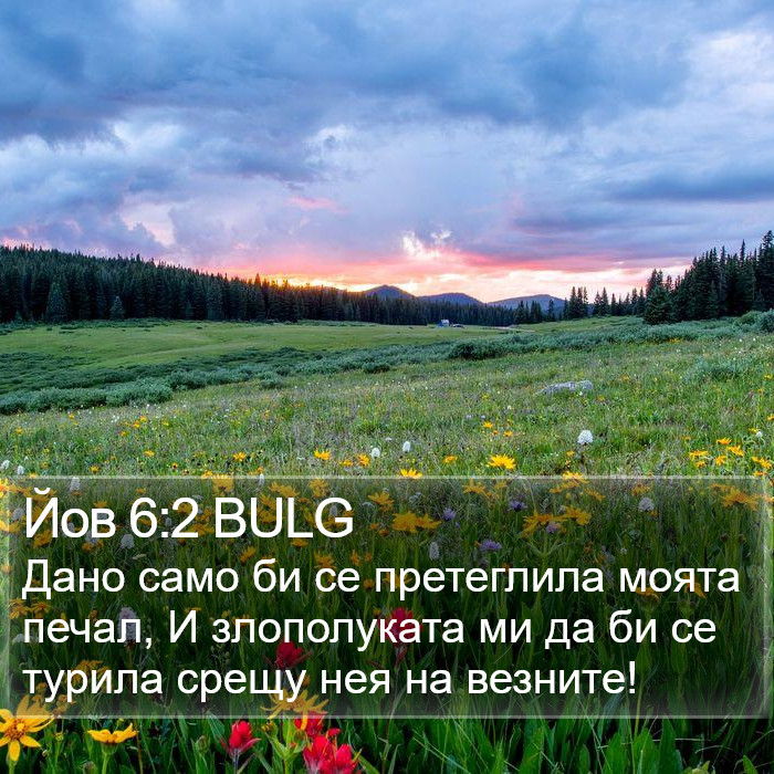 Йов 6:2 BULG Bible Study