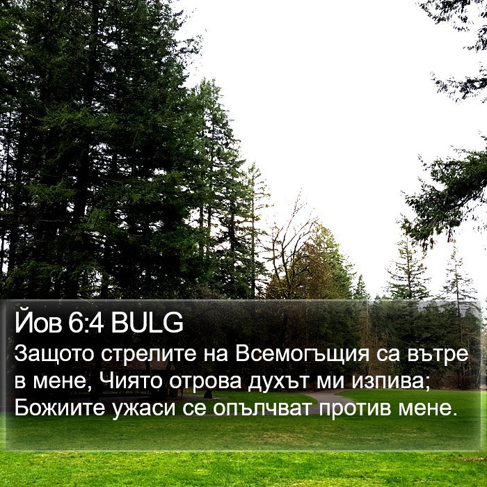 Йов 6:4 BULG Bible Study