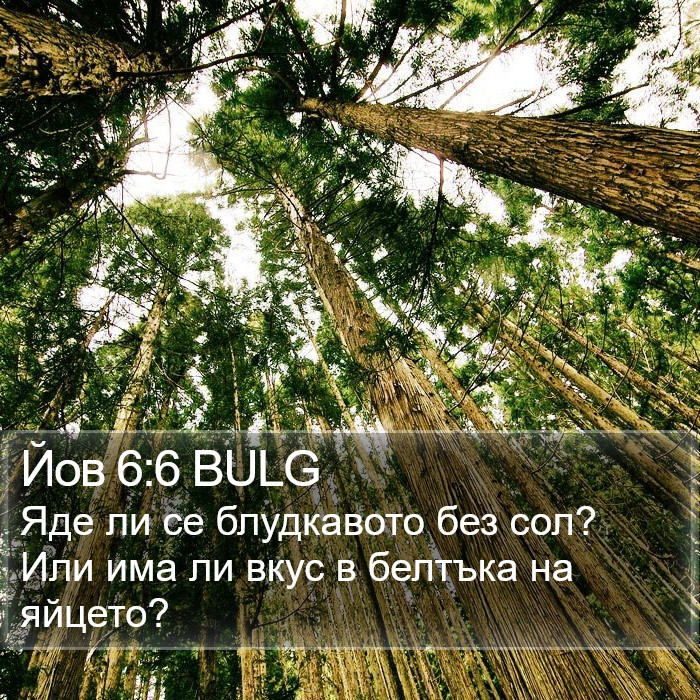 Йов 6:6 BULG Bible Study