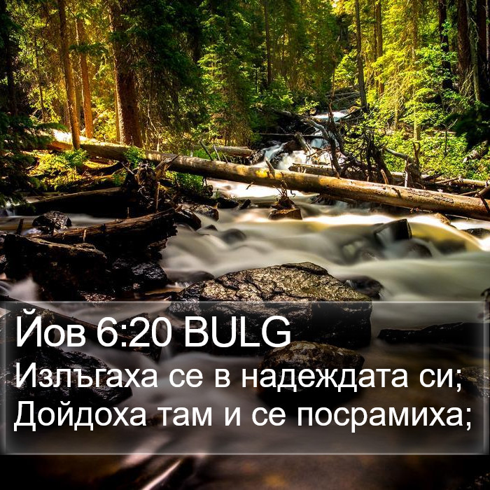 Йов 6:20 BULG Bible Study