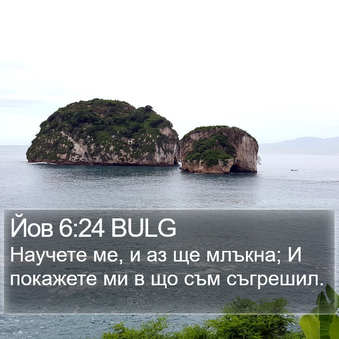 Йов 6:24 BULG Bible Study