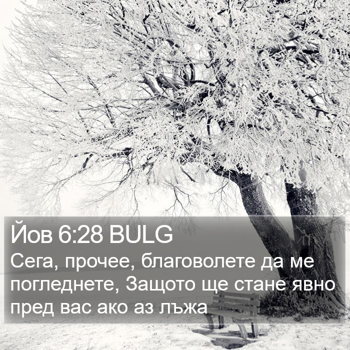 Йов 6:28 BULG Bible Study