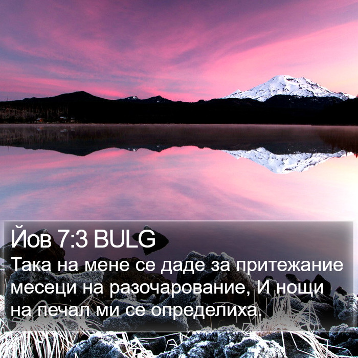 Йов 7:3 BULG Bible Study