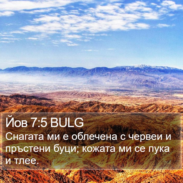 Йов 7:5 BULG Bible Study