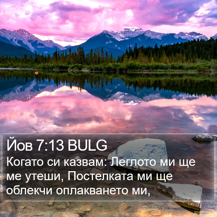 Йов 7:13 BULG Bible Study