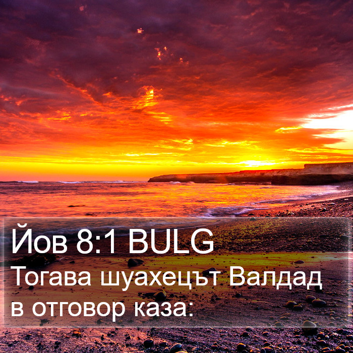 Йов 8:1 BULG Bible Study