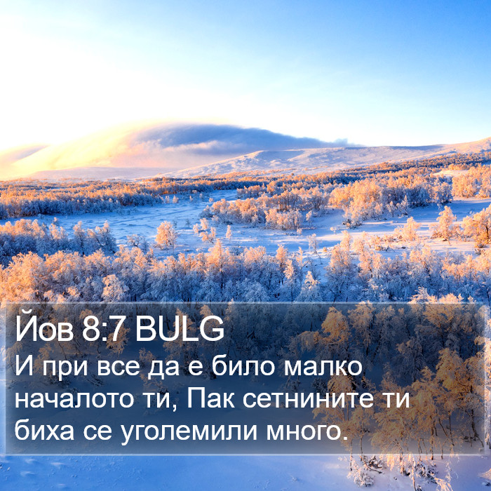 Йов 8:7 BULG Bible Study