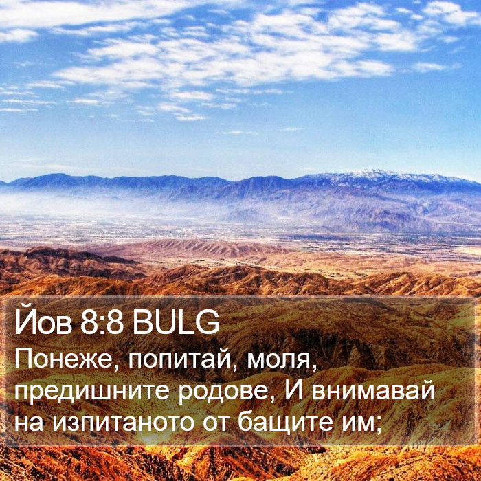 Йов 8:8 BULG Bible Study