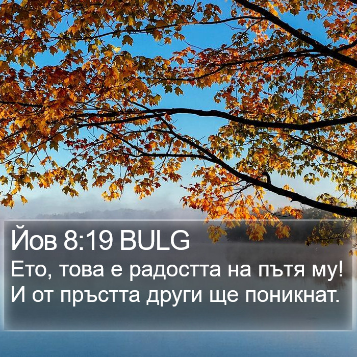 Йов 8:19 BULG Bible Study