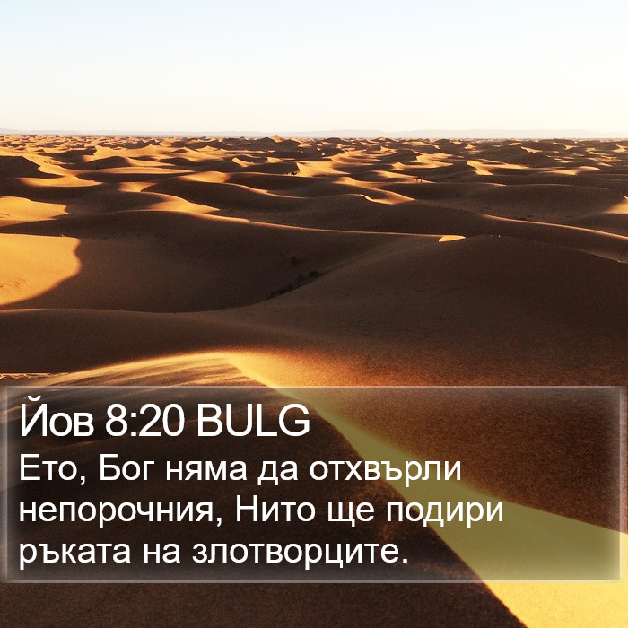 Йов 8:20 BULG Bible Study