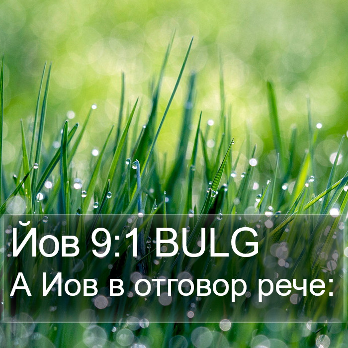 Йов 9:1 BULG Bible Study