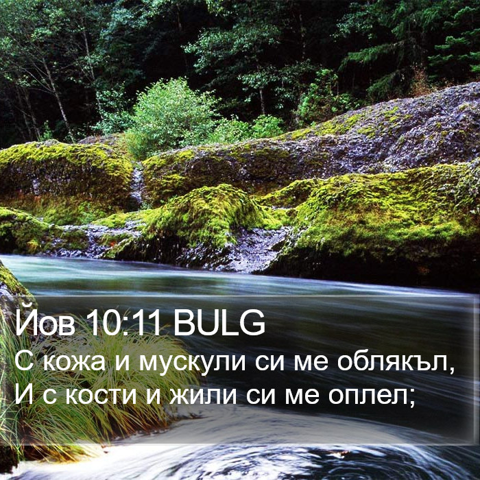 Йов 10:11 BULG Bible Study