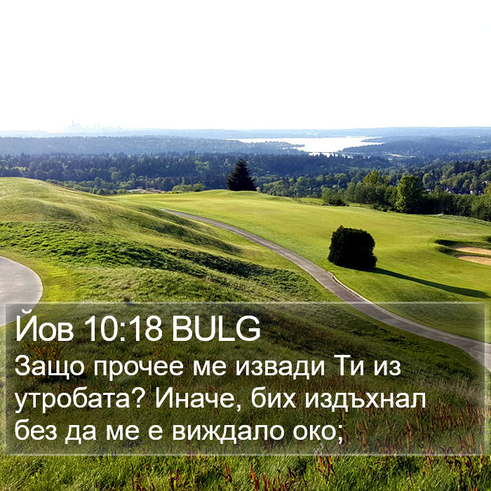 Йов 10:18 BULG Bible Study