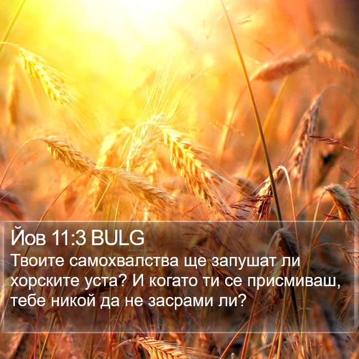 Йов 11:3 BULG Bible Study