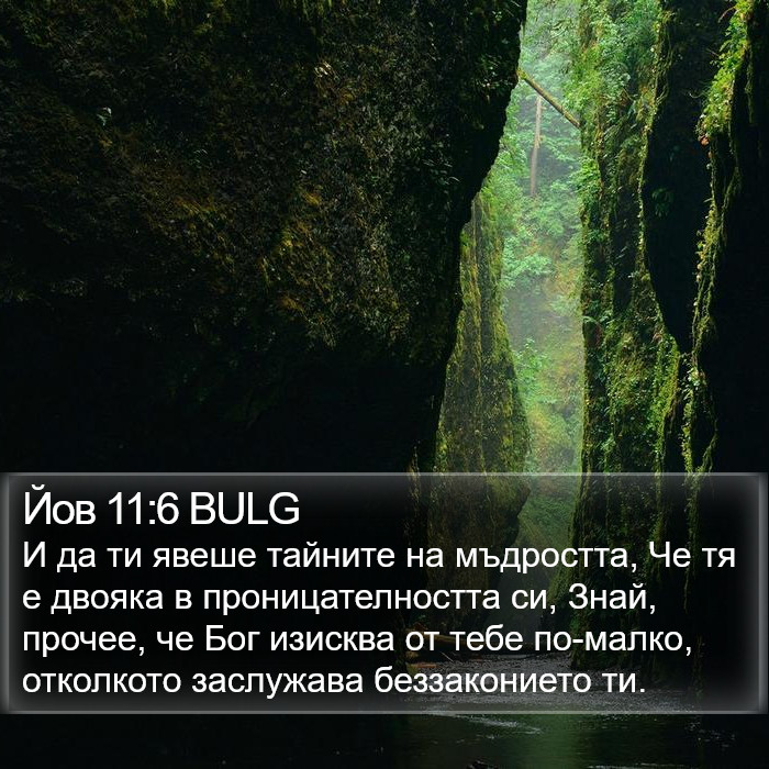 Йов 11:6 BULG Bible Study