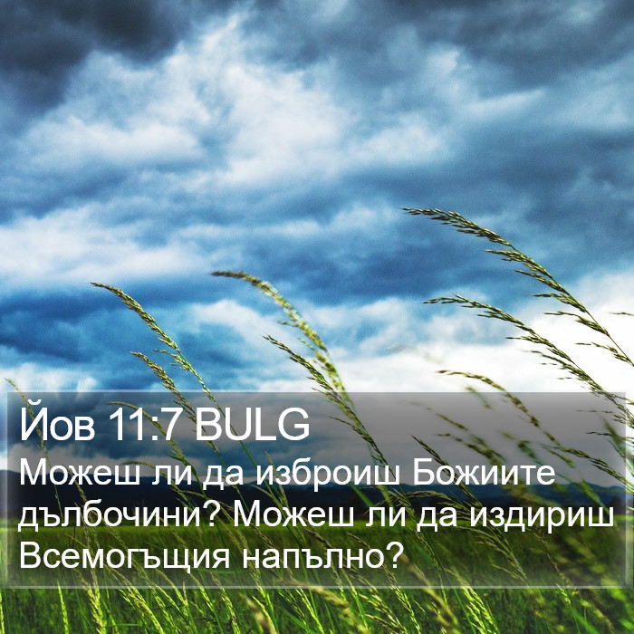 Йов 11:7 BULG Bible Study