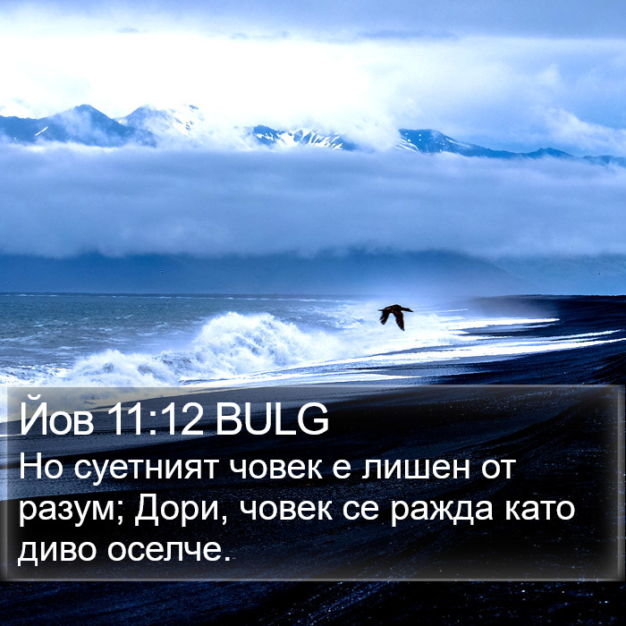 Йов 11:12 BULG Bible Study