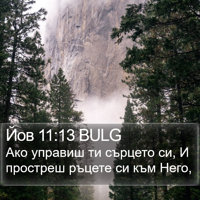 Йов 11:13 BULG Bible Study