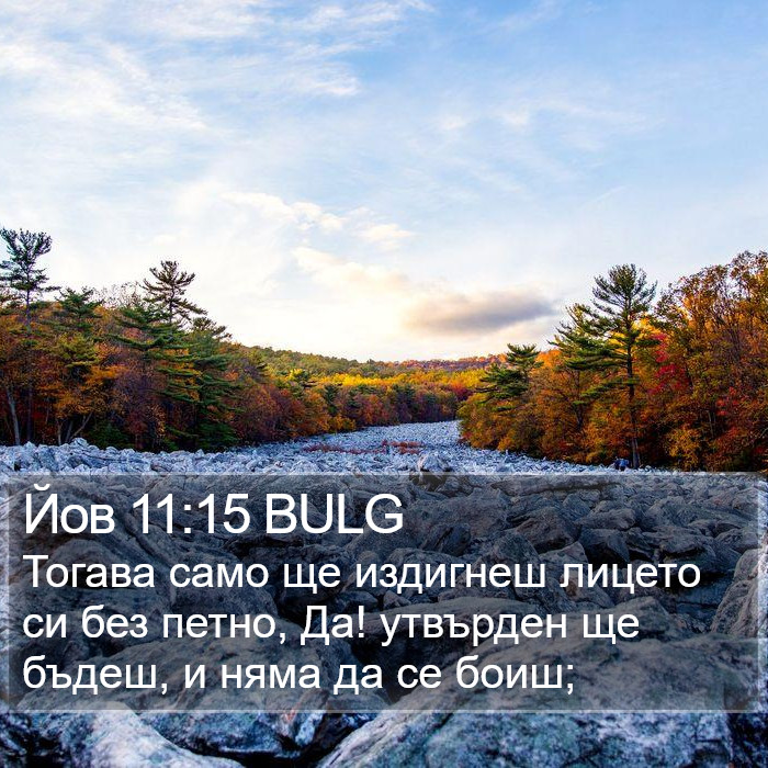 Йов 11:15 BULG Bible Study