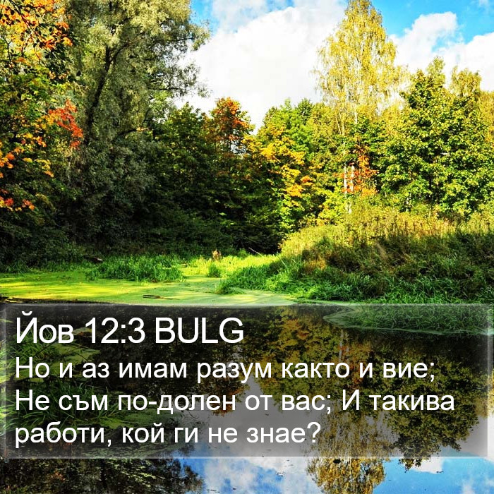 Йов 12:3 BULG Bible Study