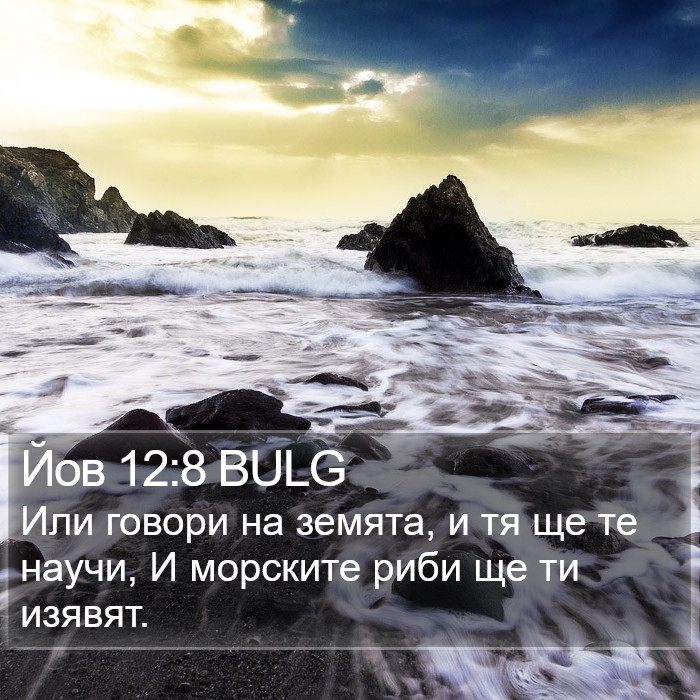 Йов 12:8 BULG Bible Study