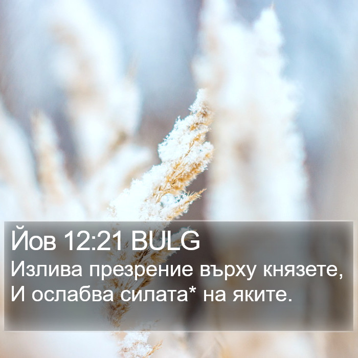 Йов 12:21 BULG Bible Study