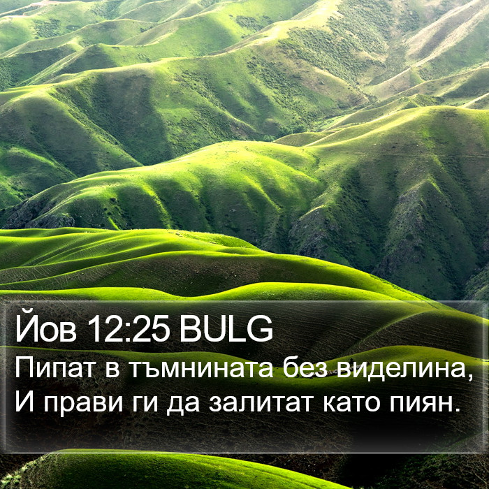 Йов 12:25 BULG Bible Study