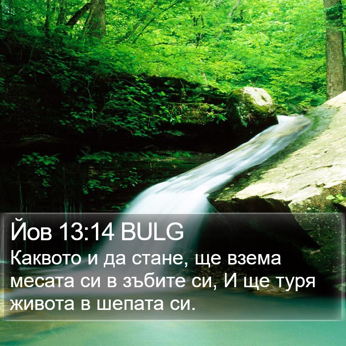 Йов 13:14 BULG Bible Study