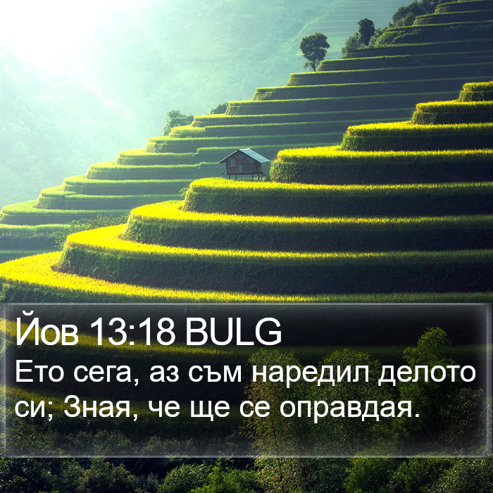 Йов 13:18 BULG Bible Study