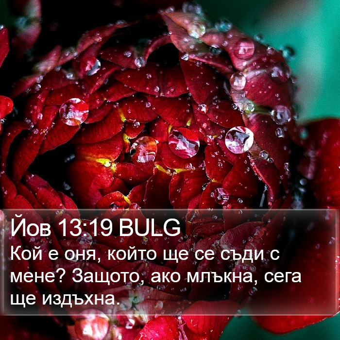 Йов 13:19 BULG Bible Study