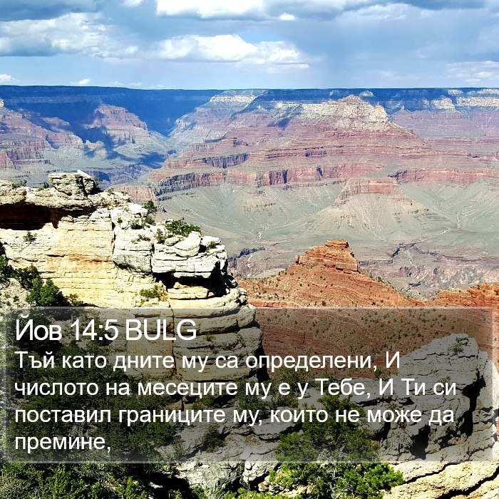 Йов 14:5 BULG Bible Study