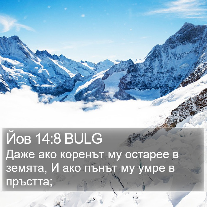 Йов 14:8 BULG Bible Study