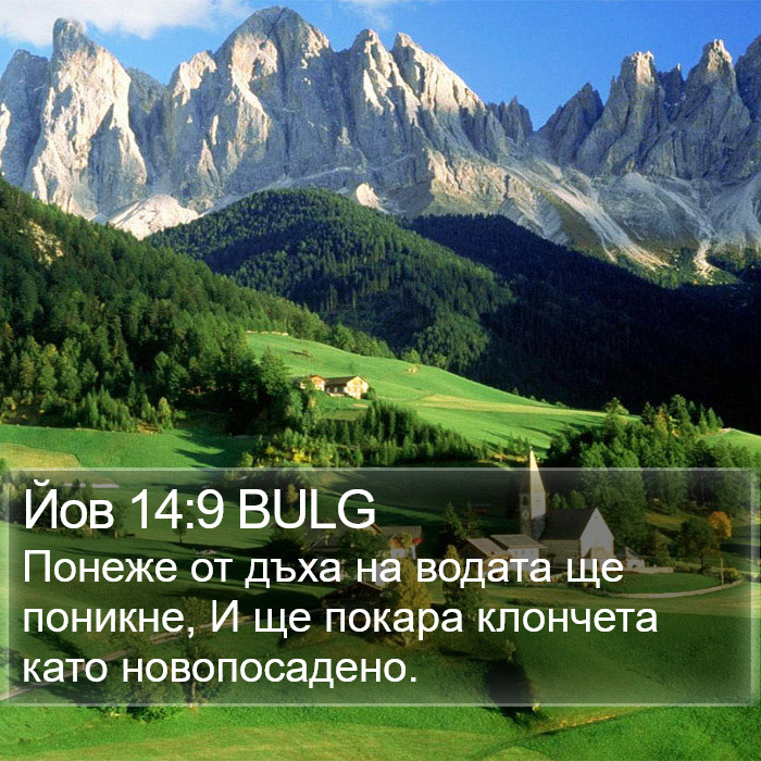 Йов 14:9 BULG Bible Study