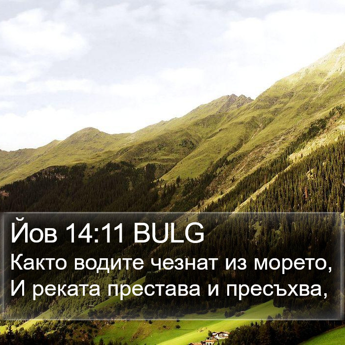 Йов 14:11 BULG Bible Study