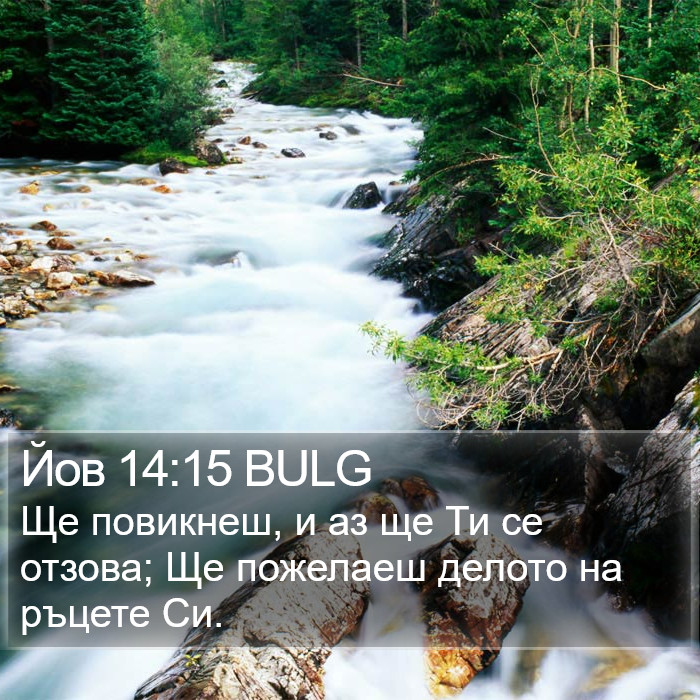 Йов 14:15 BULG Bible Study