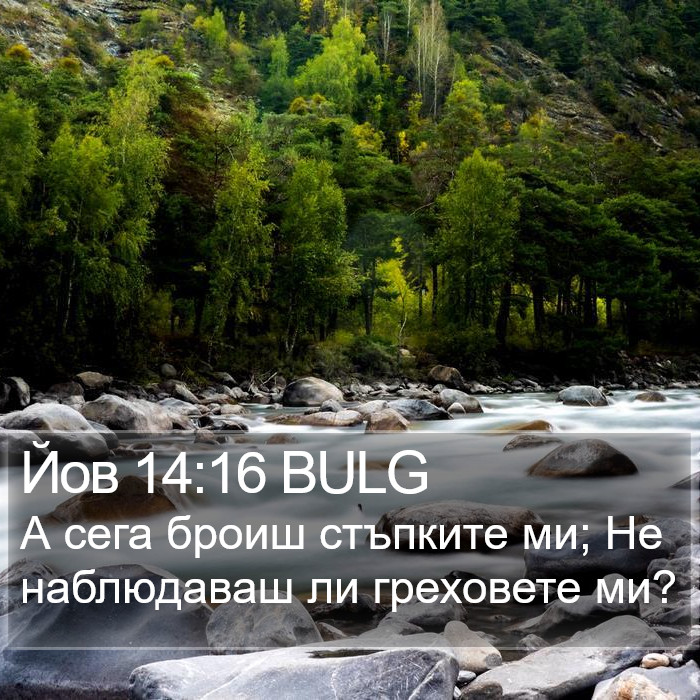 Йов 14:16 BULG Bible Study