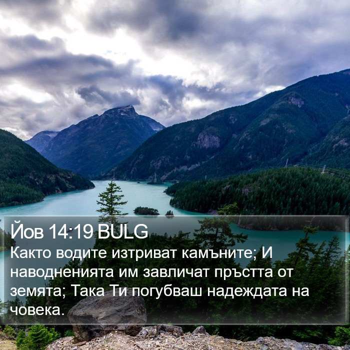 Йов 14:19 BULG Bible Study