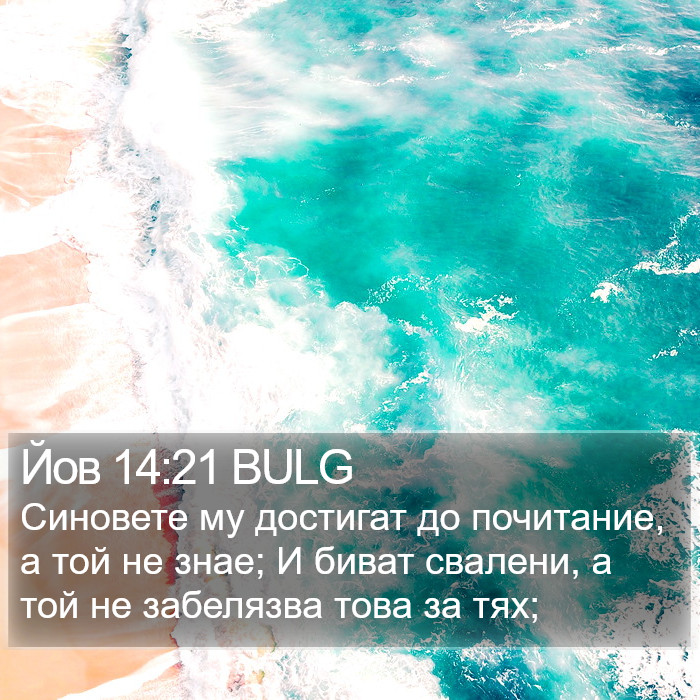 Йов 14:21 BULG Bible Study